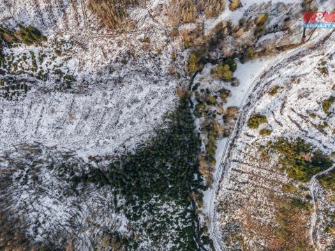 Prodej lesa, Staré Křečany, 4804 m2