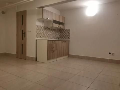 Pronájem bytu 1+kk, Hradec Králové, Smetanovo nábřeží, 25 m2