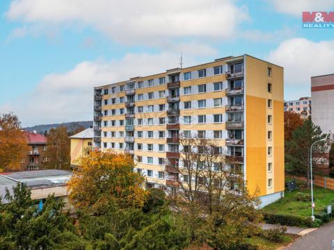 Pronájem bytu 1+kk, Ústí nad Labem - Ústí nad Labem-centrum, SNP, 21 m2