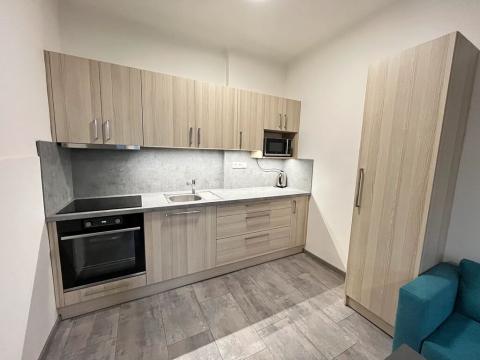 Prodej bytu 1+kk, Opava, U Hliníku, 36 m2