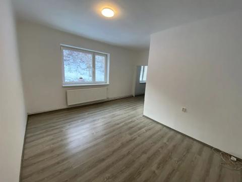 Pronájem bytu 1+1, Město Albrechtice, 37 m2