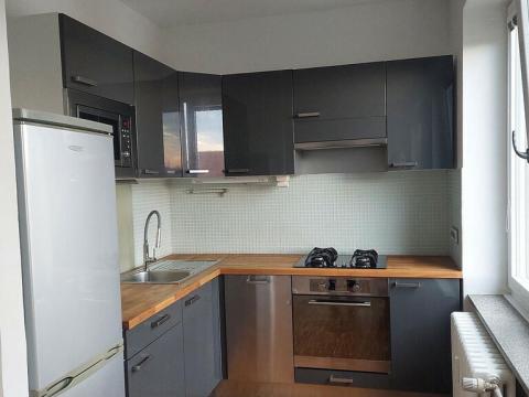 Pronájem bytu 2+kk, Brno - Staré Brno, 55 m2