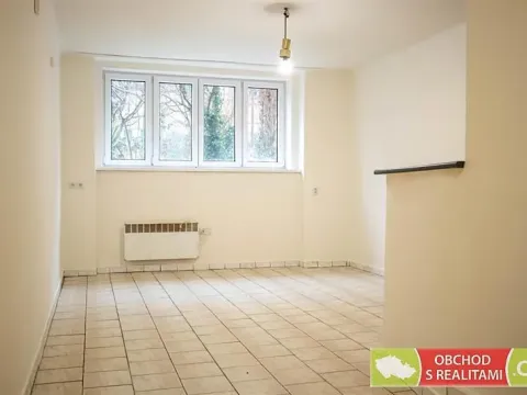 Pronájem bytu 1+kk, Praha - Nusle, Sdružení, 25 m2