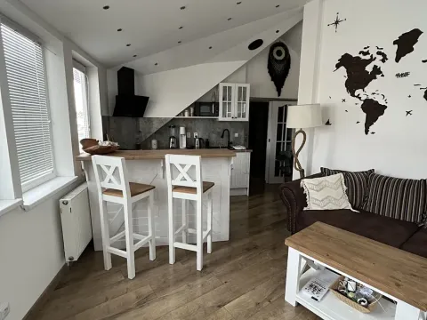 Pronájem bytu 2+kk, České Budějovice, Holečkova, 44 m2