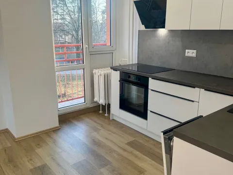 Prodej bytu 2+kk, Ostrava, Svojsíkova, 44 m2