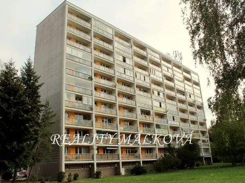 Prodej bytu 1+kk, Hradec Králové, Třebechovická, 33 m2