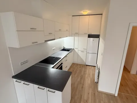 Prodej bytu 1+kk, Brno, Řípská, 49 m2