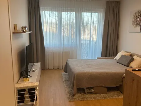 Pronájem bytu 1+kk, Praha - Vysočany, Hindlova, 30 m2