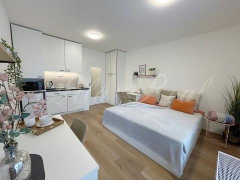 Pronájem bytu 1+kk, Brno - Zábrdovice, Bratislavská, 30 m2