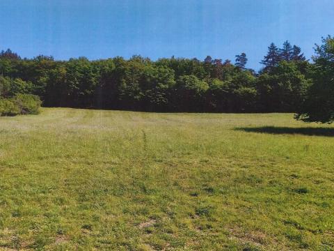 Dražba pozemku, Vohančice, 14258 m2