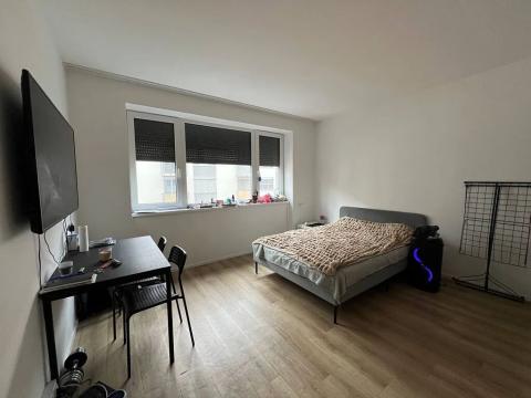 Pronájem bytu 1+kk, Praha - Vršovice, Pod soutratím, 27 m2