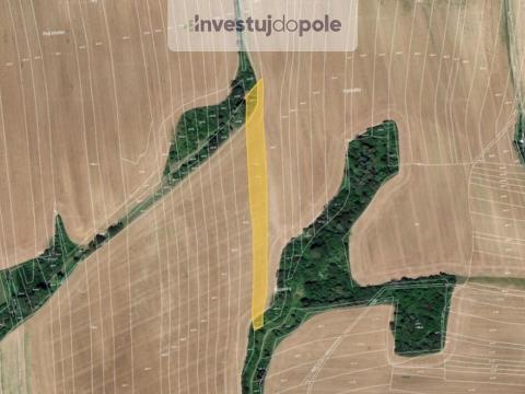 Prodej pole, Zborovice - Medlov, 5441 m2