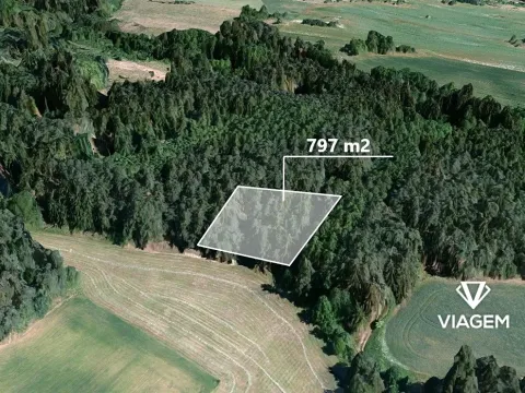 Prodej lesa, Trnava, 797 m2