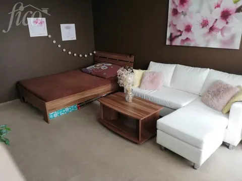 Pronájem bytu 1+1, Uherský Brod, 40 m2