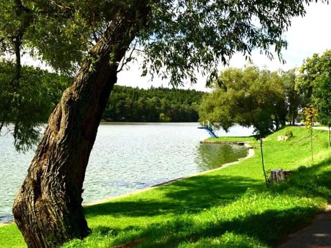 Prodej chaty, Jedovnice, 52 m2