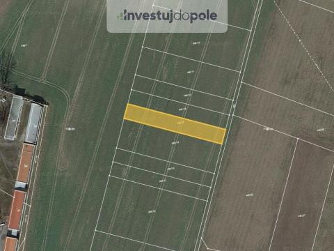 Prodej pole, Bohušovice nad Ohří - Hrdly, 1427 m2