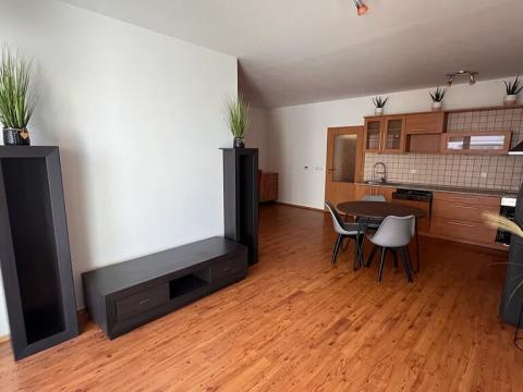 Pronájem bytu 2+kk, České Budějovice, U Lučního jezu, 56 m2