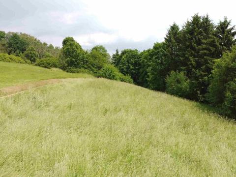 Dražba pozemku pro bydlení, Chotěvice, 1701 m2