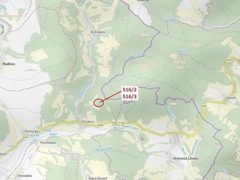 Dražba lesa, Městečko Trnávka, 4025 m2