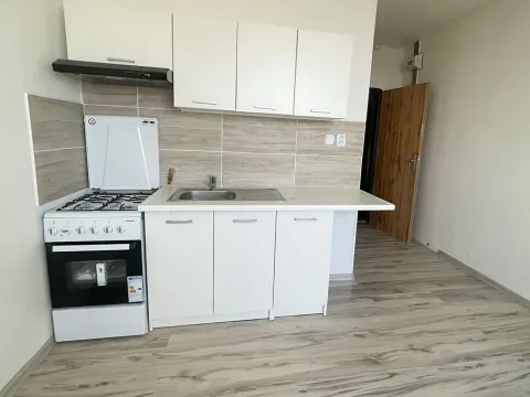 Pronájem bytu 1+1, Jirkov, Generála Svobody, 33 m2