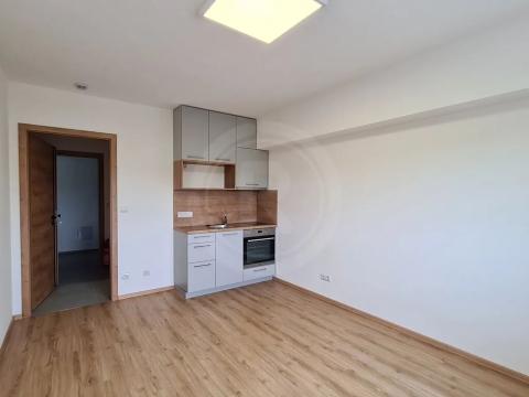 Pronájem bytu 1+kk, Srubec, Do Mladého, 21 m2