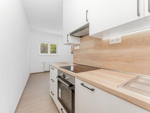 Pronájem bytu 1+kk, Brno - Černovice, Faměrovo náměstí, 29 m2