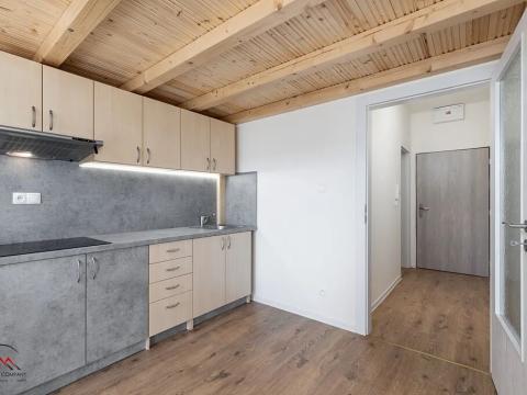 Pronájem bytu 1+kk, Ostrava, Palackého, 26 m2