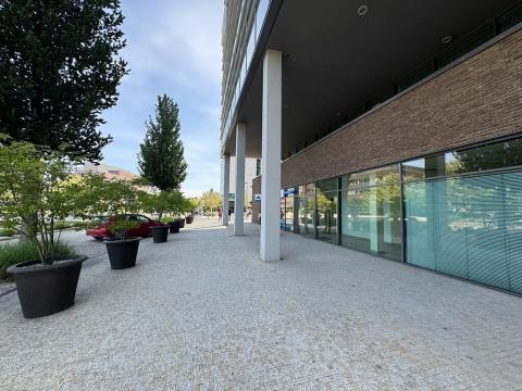Pronájem obchodního prostoru, Brno, Holandská, 115 m2