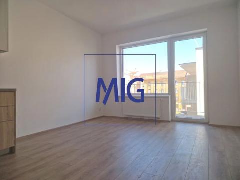 Pronájem bytu 1+kk, Brno, Spolková, 32 m2