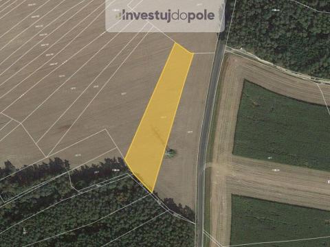 Prodej pole, Zruč-Senec - Zruč, 990 m2