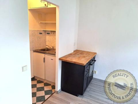 Pronájem bytu 1+kk, Praha - Břevnov, Nad Závěrkou, 14 m2