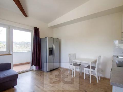 Pronájem bytu 1+kk, Praha - Krč, Budějovická, 30 m2