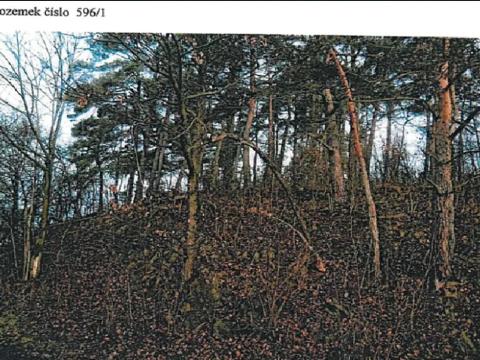 Prodej podílu lesa, Jihlava, 4922 m2