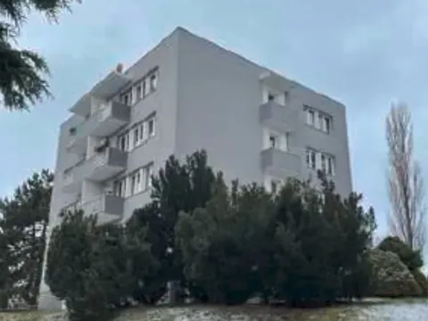 Dražba bytu 4+1, Kosmonosy, Pod koupalištěm, 84 m2