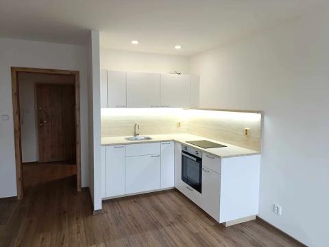Pronájem bytu 1+kk, Frýdek-Místek, Československé armády, 30 m2