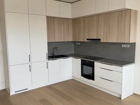 Pronájem bytu 2+kk, Praha, V třešňovce, 57 m2