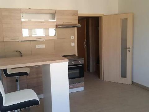 Pronájem bytu 1+kk, Brno, Poděbradova, 28 m2