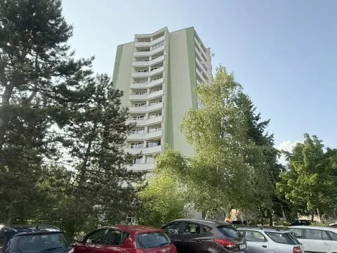 Prodej bytu 2+1, Plzeň, Skupova, 68 m2