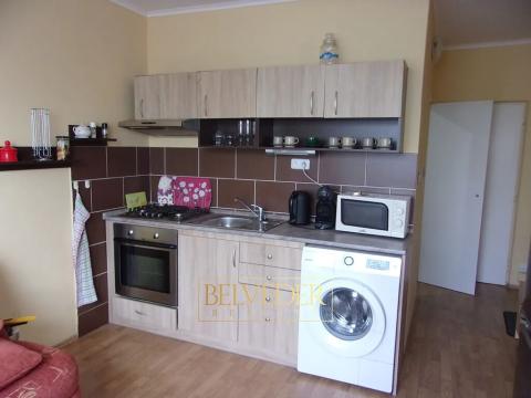 Pronájem bytu 1+1, Teplice, Palackého, 35 m2