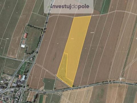 Prodej pole, Melč, 2420 m2