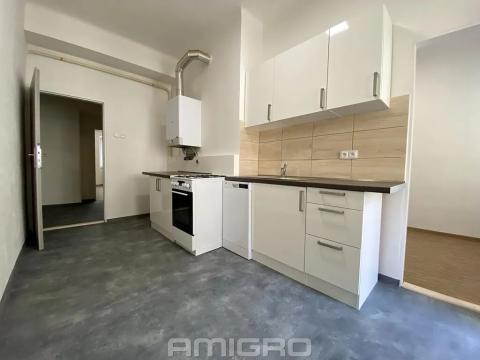 Pronájem bytu 2+1, Brno, Antonínská, 59 m2