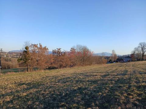 Prodej pozemku pro bydlení, Horní Bludovice, 3705 m2