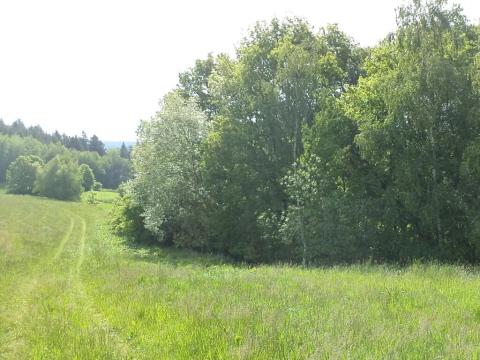 Dražba louky, Pluhův Žďár, 2746 m2
