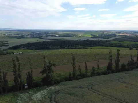 Dražba louky, Újezdec, 4351 m2