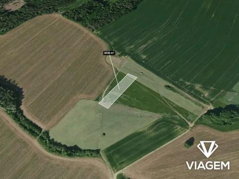 Prodej pole, Louňovice pod Blaníkem, 3038 m2