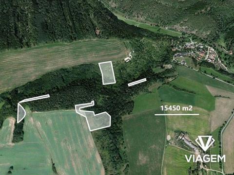 Prodej podílu lesa, Chlum, 2809 m2
