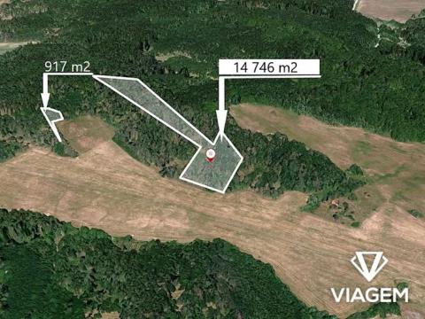 Prodej lesa, Klučov, 11430 m2