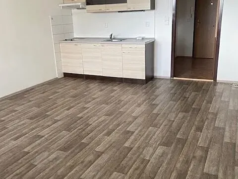 Pronájem bytu 1+kk, Olomouc, Voskovcova, 39 m2