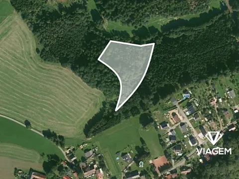 Prodej podílu lesa, Velké Petrovice, 4922 m2