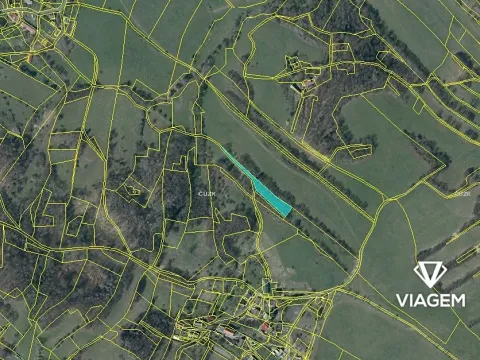 Prodej podílu lesa, Lovečkovice, 651 m2
